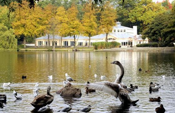 Villa Rosali Boutique Hotel Hamburg Luaran gambar